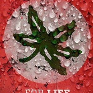 Meet your Posher, Shaun